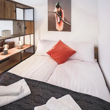 Bearsleys Knights Riga