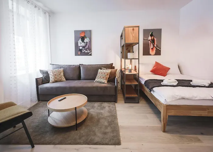 Bearsleys Knights Riga